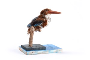 Image description is not available for 2007.2.9